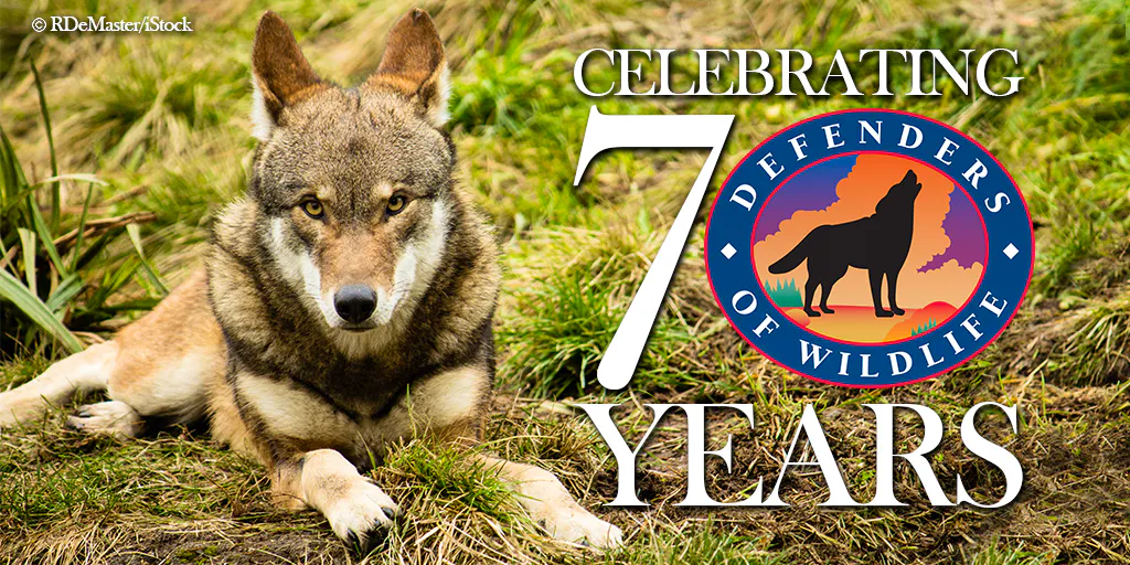 Defenders of Wildlife