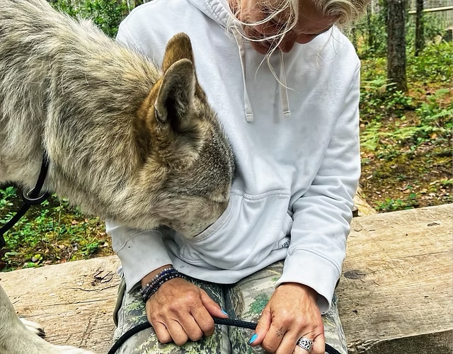 Roam Wolfdog Sanctuary
